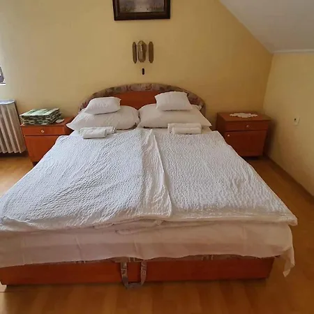 Apartment In Siofok/balaton 20030 *